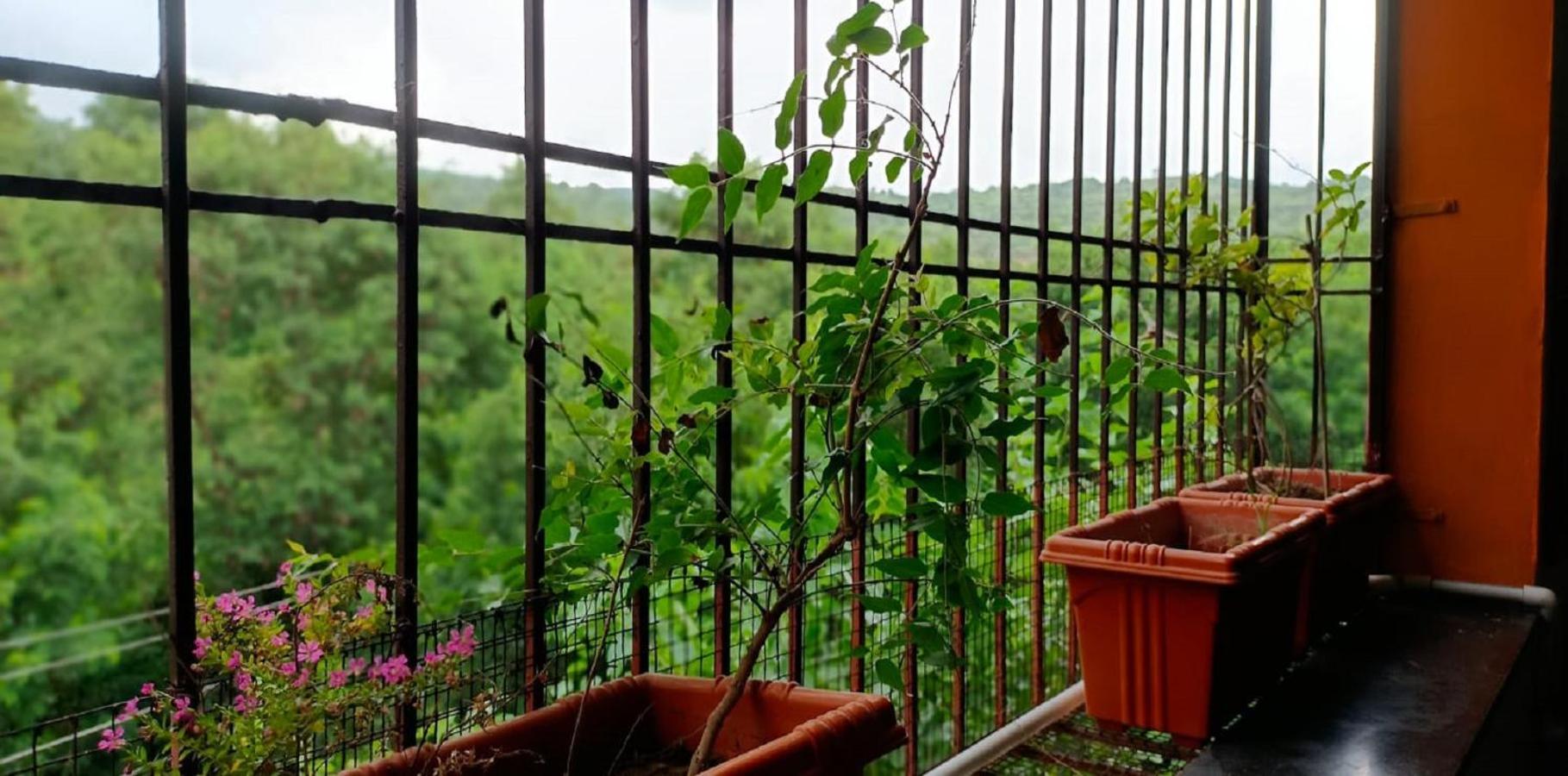 Ellora Abhayanand Agro Tourism 빌라 외부 사진